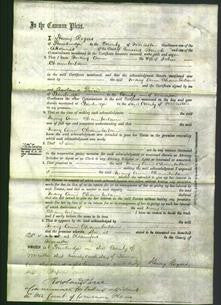 Court of Common Pleas - Mary Ann Chamberlain-Original Ancestry