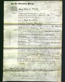 Court of Common Pleas - Caroline Burnham-Original Ancestry