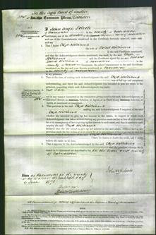 Court of Common Pleas - Eliza Williams-Original Ancestry