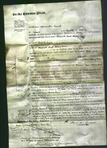 Court of Common Pleas - Harriet Ann Mary Linn-Original Ancestry