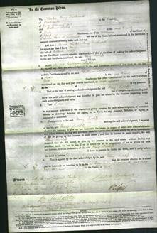 Court of Common Pleas - Mary Sutcliffe-Original Ancestry