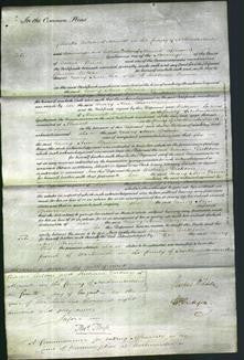 Court of Common Pleas - Mary Ann Brown-Original Ancestry