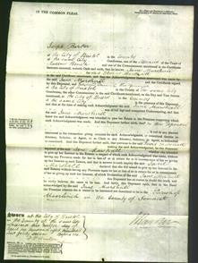 Court of Common Pleas - Jane Marshall-Original Ancestry