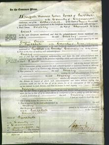 Court of Common Pleas - Mary Davies-Original Ancestry