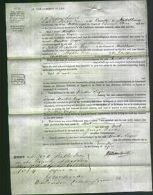 Court of Common Pleas - Martha Toyne-Original Ancestry