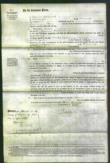 Court of Common Pleas - Sarah Harker-Original Ancestry