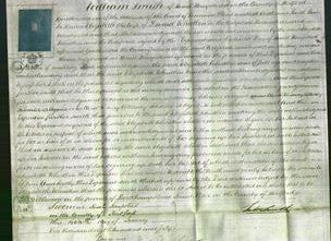 Court of Common Pleas - Elizabeth Whidbin-Original Ancestry