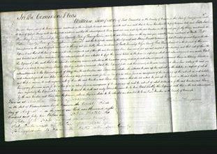 Court of Common Pleas - Caroline Cole and Selma Jane Barnes-Original Ancestry