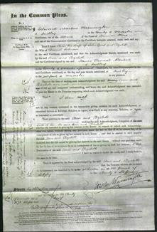 Court of Common Pleas - Ann Guest and Elizabeth Johnson-Original Ancestry