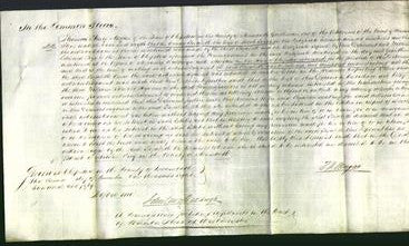 Court of Common Pleas - Elizabeth Evans-Original Ancestry