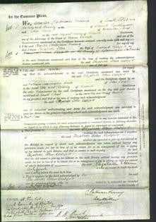 Court of Common Pleas - Elizabeth Ellen Ashford-Original Ancestry