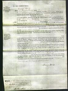 Court of Common Pleas - Mary Ann Palethorpe-Original Ancestry