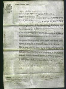 Court of Common Pleas - Elizabeth Townsend-Original Ancestry