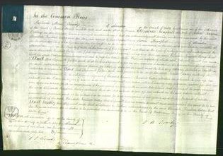 Court of Common Pleas - Elizabeth Tunstall Callery-Original Ancestry