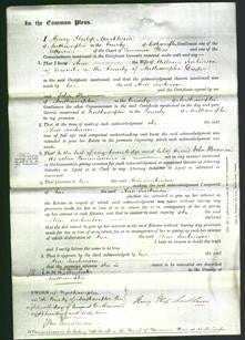 Court of Common Pleas - Ann Jenkinson-Original Ancestry