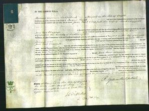 Court of Common Pleas - Jane Burt Chappell-Original Ancestry