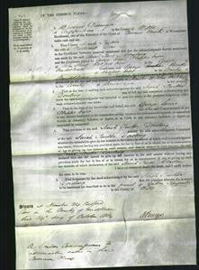 Court of Common Pleas - Sarah Tucker Dowling-Original Ancestry