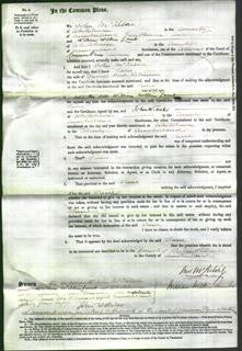 Court of Common Pleas - Jane Robinson-Original Ancestry