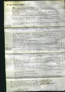 Court of Common Pleas - Frances Anne Atkinson-Original Ancestry