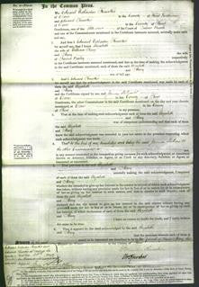 Court of Common Pleas - Elizabeth King and Mary Bailey-Original Ancestry