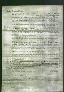 Court of Common Pleas - Margaret Baker-Original Ancestry