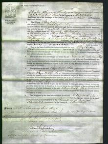 Court of Common Pleas - Elizabeth Fox-Original Ancestry