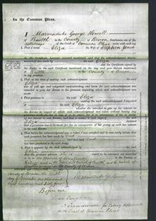 Court of Common Pleas - Eliza Jones-Original Ancestry