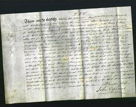 Deed by Married Women - Sarah Wood, Jane Wood and Martha Wood-Original Ancestry