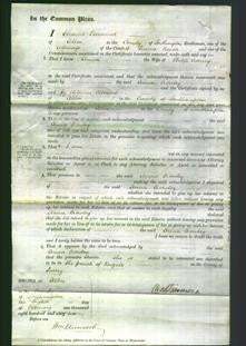 Court of Common Pleas - Anna Crowley-Original Ancestry