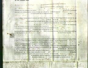 Court of Common Pleas - Lettice Poole-Original Ancestry