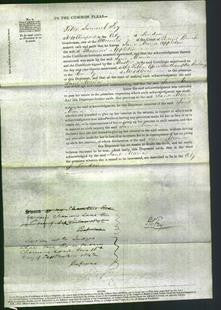 Court of Common Pleas - Jane Maria Appleton-Original Ancestry