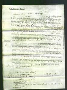 Court of Common Pleas - Ann Field-Original Ancestry