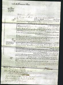 Court of Common Pleas - Susanna Georgina O'Grady-Original Ancestry