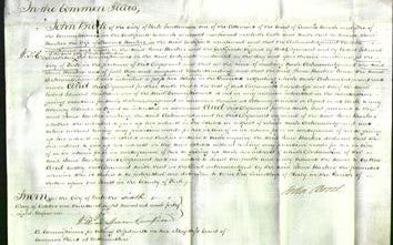 Court of Common Pleas - Jane Barker-Original Ancestry