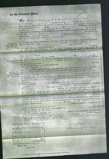 Court of Common Pleas - Emily Sophia Haldane-Original Ancestry