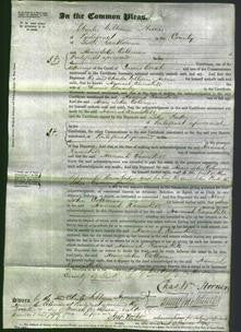Court of Common Pleas - Hannah Ramskill Bramley-Original Ancestry