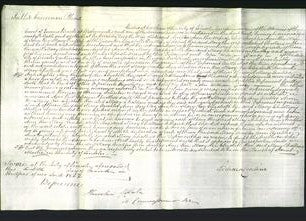 Court of Common Pleas - Mary Ambler, Ann Ambler, Ann Roe, Mary Roe, Elizabeth Roe and Mary Challens-Original Ancestry