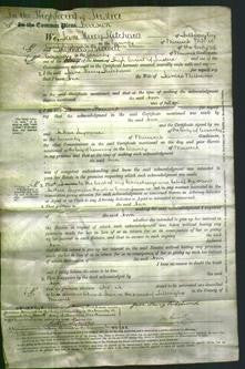 Court of Common Pleas - Ann Williams-Original Ancestry