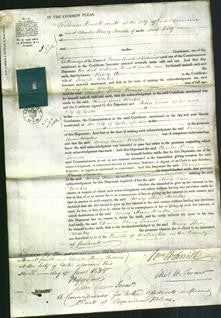 Court of Common Pleas - Mary Ann Weekes-Original Ancestry