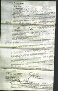 Court of Common Pleas - Jane Sarah Ann Wells-Original Ancestry