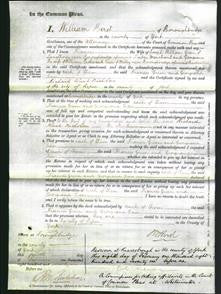 Court of Common Pleas - Frances Green and Georgiana Cass-Original Ancestry