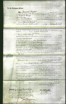 Court of Common Pleas - Amelia Markindale-Original Ancestry