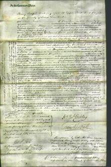 Court of Common Pleas - Eliza Bull and Charlotte Chalk-Original Ancestry