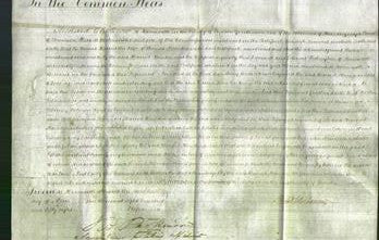 Court of Common Pleas - Harriet Howden-Original Ancestry