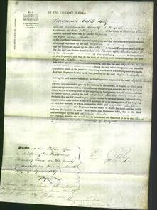 Court of Common Pleas - Sophia Leake-Original Ancestry