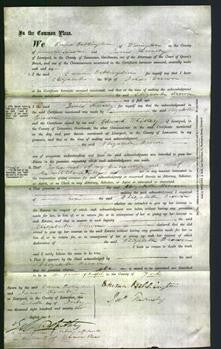 Court of Common Pleas - Elizabeth Brown-Original Ancestry