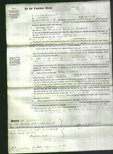 Court of Common Pleas - Esther Salkeld-Original Ancestry