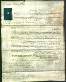 Court of Common Pleas - Emma Pegler-Original Ancestry