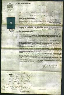 Court of Common Pleas - Esther Blythe-Original Ancestry