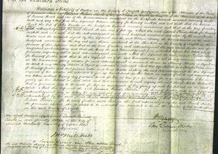 Court of Common Pleas - Sarah Bowles-Original Ancestry